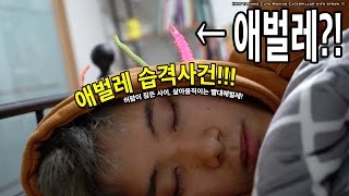 How to make Cute Moving Caterpillar with straw !!!