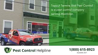 Top 3 Pest Control in Montclair
