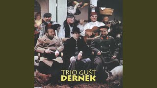 Video thumbnail of "Trio Gušt - Gemix (Št)"