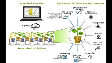 Plant-DiTech Whole plant physiology screening system- TvAgro report by Juan Gonzalo Angel