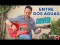 2024 paco de lucia rumbaentre dos aguas  jernimo de carmen  cover guitarraflamenca