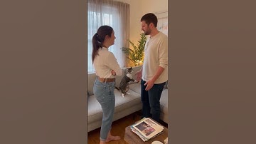 Cat Scolds Couple for Fighting — The Funniest Relationship Therapist Ever #relatable #funny