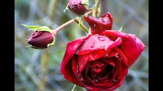 Hoşçakal_Sevgi̇li̇.. Hakan Karakan (Suskun Şair)