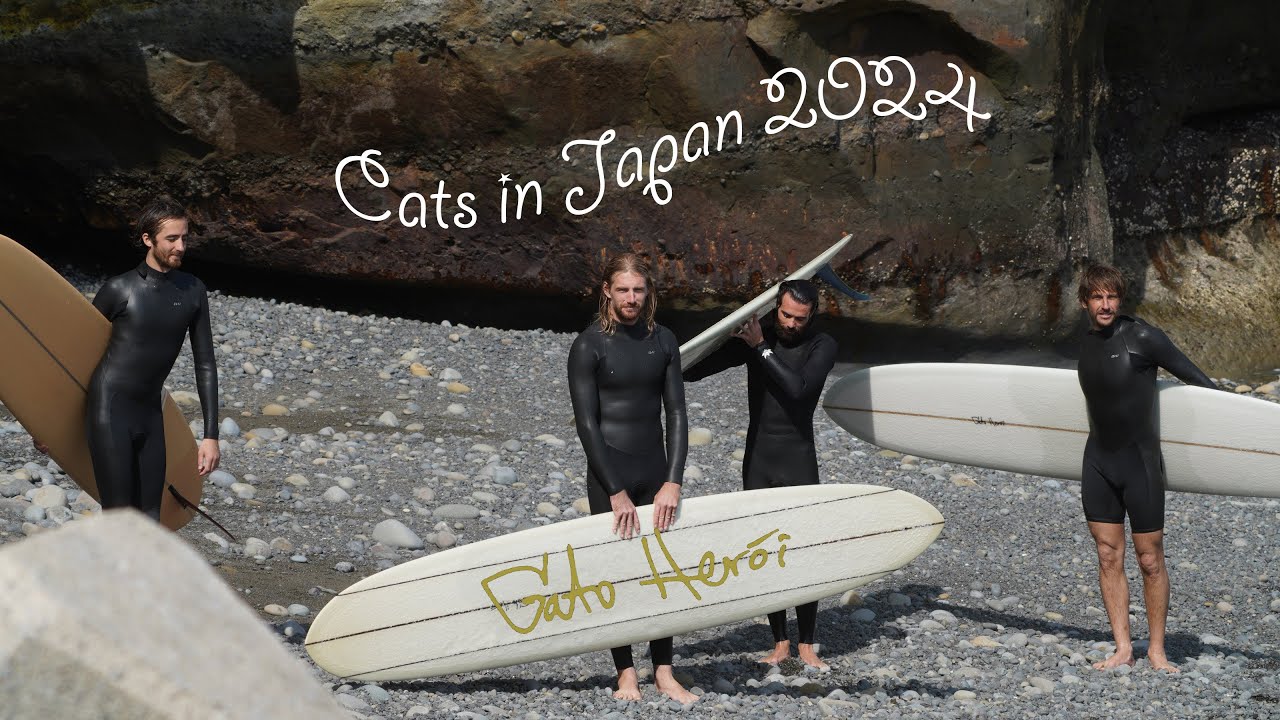Cats in Japan 2024 Vol.7  