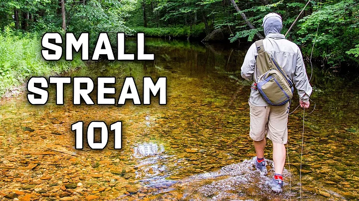 The Ultimate Small Stream Fly Rod Buyer’s Guide