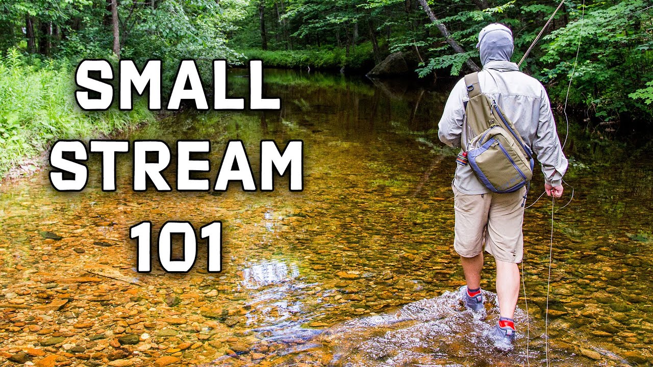 How to Choose The BEST Small Stream Fly Rod Setup 