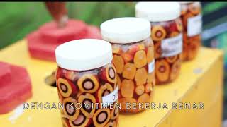 Download Lagu Mars Planters MP3