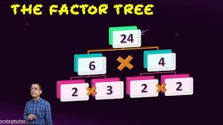 Factors & Properties, Factor Trees & Properties, and Prime Factorization