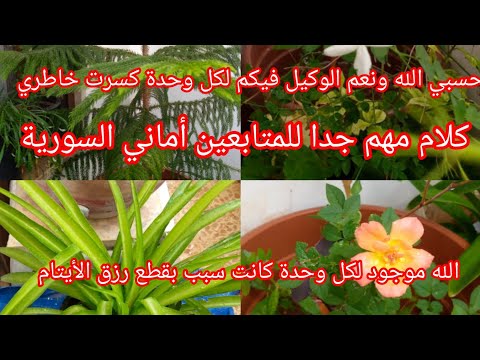 كلام مهم للمتابعين أماني السورية ولكل وحدة كانت سبب بقطع رزق الأيتام ولكل وحدة كانت تبعتلي تعليقات