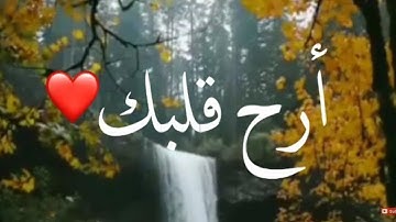 تلاوة هادئة للشيخ عبد الرحمن السديس 🌸❤️ | حالات واتس اب دينية قصيرة 🌿