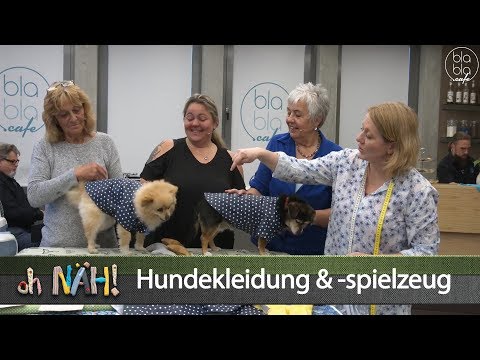 Video: Wie Man Kleidung Für Einen Hund Näht