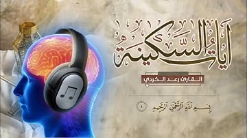 تلاوة هادئة تريح الاعصاب | رعد الكردي - آيات السكينة | أرح سمعك وأبتعد عن الدنيا