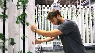 Labor and Vertical Farming: Stacked vs. Vertical Plane Production