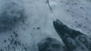 Frozen Lake | Drone Video.