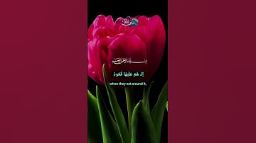 وَٱلسَّمَآءِ ذَاتِ ٱلْبُرُوجِ ١وَٱلْيَوْمِ ٱلْمَوْعُودِ ٢ #سورة_البروج #القزابري