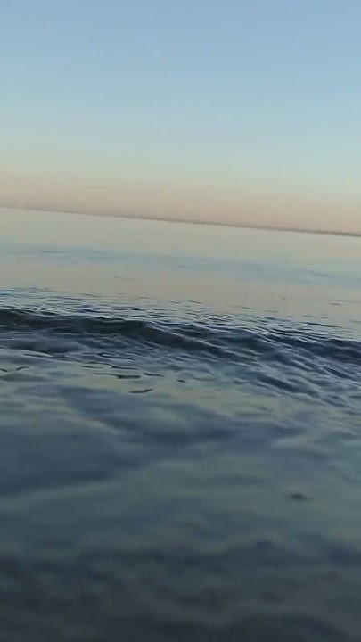 это чудо 😍 - YouTube