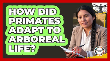 How Did Primates Adapt To Arboreal Life?