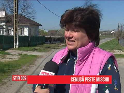 Cenuşă peste Mischii