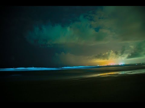 Reason of glowing beach of south Goa. - YouTube
