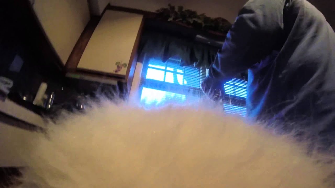 video phone beyonce mp3 165 lb Great Pyrenees Boone, with a new GoPro