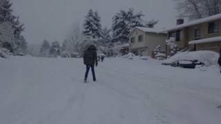 Portland Snow Day - January 11, 2017