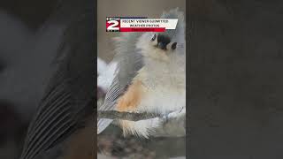 WKTV Weather Photos News