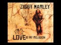 Ziggy Marley - Black Cat | Love Is My Religion