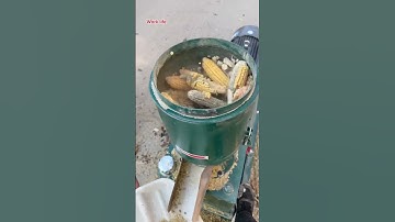 The process of crushing corn kernels