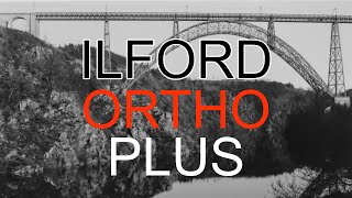 Ilford Ortho + First Impressions