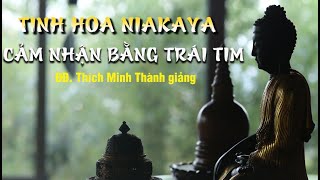 Tinh Hoa NIKAYA – Cảm Nhận Bằng Trái Tim
