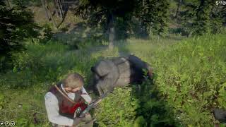 Red Dead Redemption 2 Fighting Odriscolls And Bears Oh My