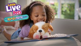 Little Live Pets I My Really Real Puppy Bumper I 6