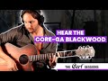 Электроакустическая гитара CORT Core-GA Blackwood (Open Pore Light Burst)