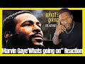 Why Marvin Gaye's What's Going On STILL Hits Different in 2025?