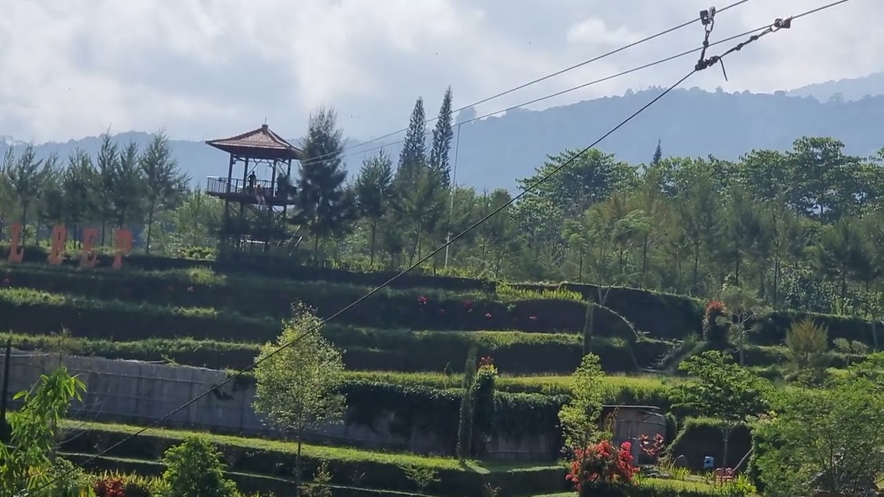 PAPA juga tak mau kalah main flyingfox di "Bermi Eco Park