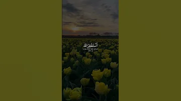 استغفرالله شيخ مشاري العفاسي 