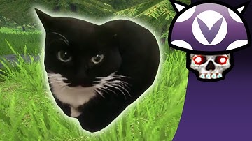 [Vinesauce] Joel - Joel Finally Finds Maxwell