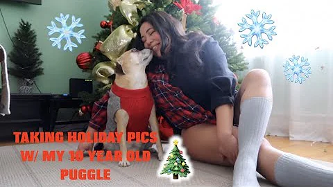 Taking HOLIDAY pics with my 10yr old PUGGLE, COOKI...