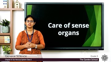 Grade 5 General Science Chapter 8 Class 5 Our nervous system Care of sense organs & Exercise part I