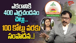 ఎకరానికి 400ఎర్రచందనం చెట్లు.. 100కోట్లు వరకు సంపాదన..!  K. Raghavendra Rao Interview #1 | TeluguOne
