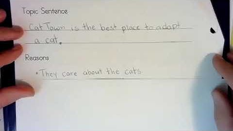 Opinion Cycle 2: Lesson 2, Topic Sentence