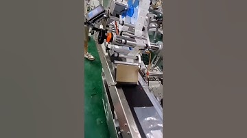 Automatic plastic bag pouch pagging feeding real time label print labeling machine