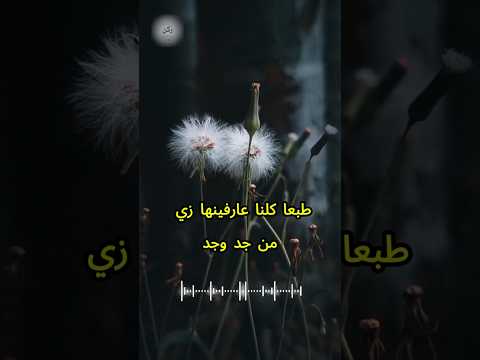 لن تصدق هذه الحكم المصرية القديمة دروس من التراث الشعبي