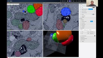 Reconstructing large volumetric microscopy for analysis, visualization and 3D printing with Paintera