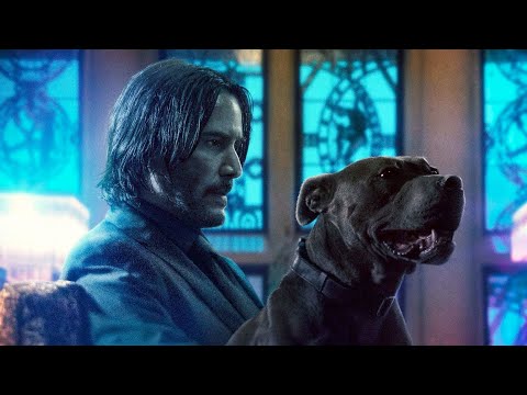 John wick whatsapp status🔥