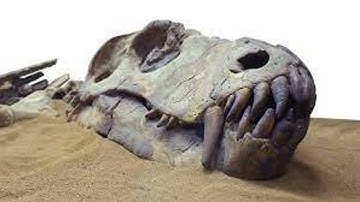 Law of Superposition -to the tune of Superstition