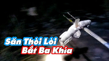 Soi Đèn Săn Đêm Bằng Chĩa ở Đất Mũi Cà Mau