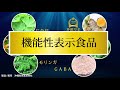 サプリメント｜良質な睡眠のサポート｜GABAを配合｜機能性表示食品｜休息伝説｜沖縄｜沖縄長生薬草本社｜制作：アイスカプロジェクト