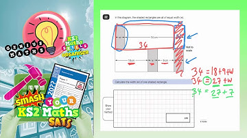 2017 SATS Paper 3 Reasoning Q22