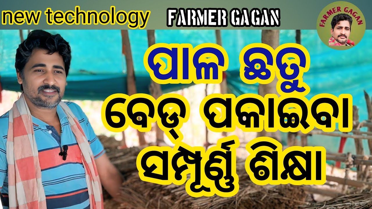 ପାଳ ଛତୁ ବେଡ ପକାଇବା ସମ୍ପୂର୍ଣ୍ଣ ଶିକ୍ଷା. Farmer Gagan.